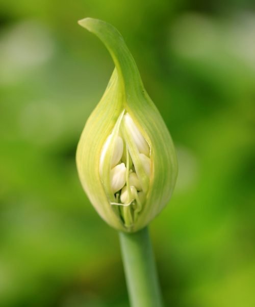 sandy-millar-p2HdFeFNyGk-unsplash